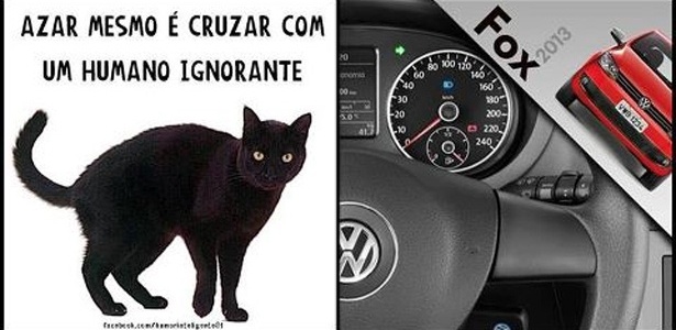 Montagem publicada na internet critica propaganda da Volkswagen com gato preto - Reprodução